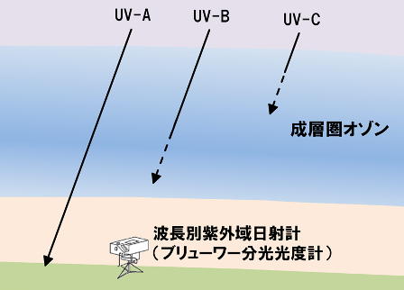 紫外線UV-A、UV-B、UV-C