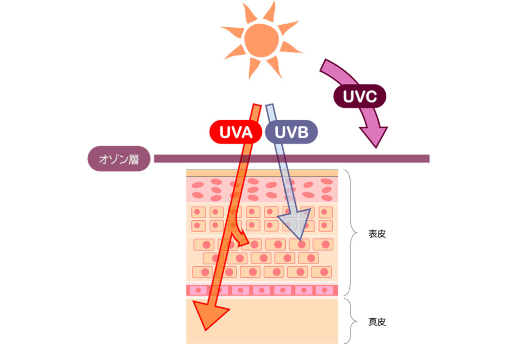 紫外線の種類UVA、UVB、UVC