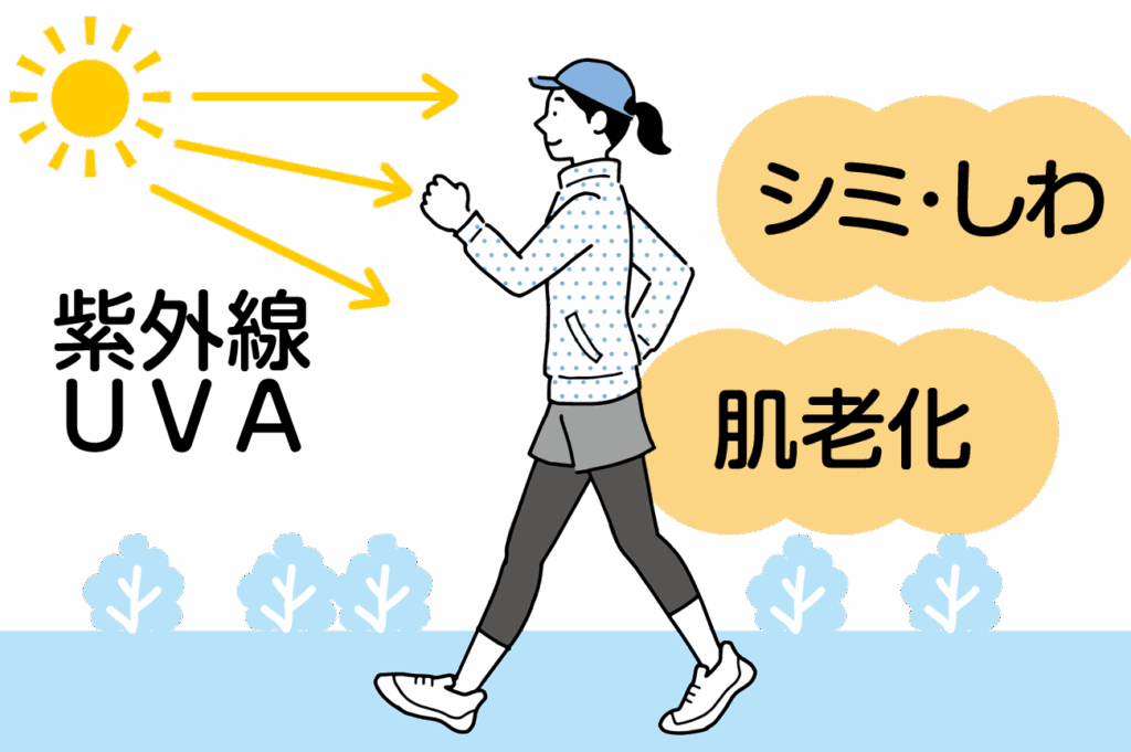 朝のウォーキングでは特にUVAの影響を受けやすく、即効性の日焼けを感じなくても、長期的な肌老化のリスクがある点に注意が必要です