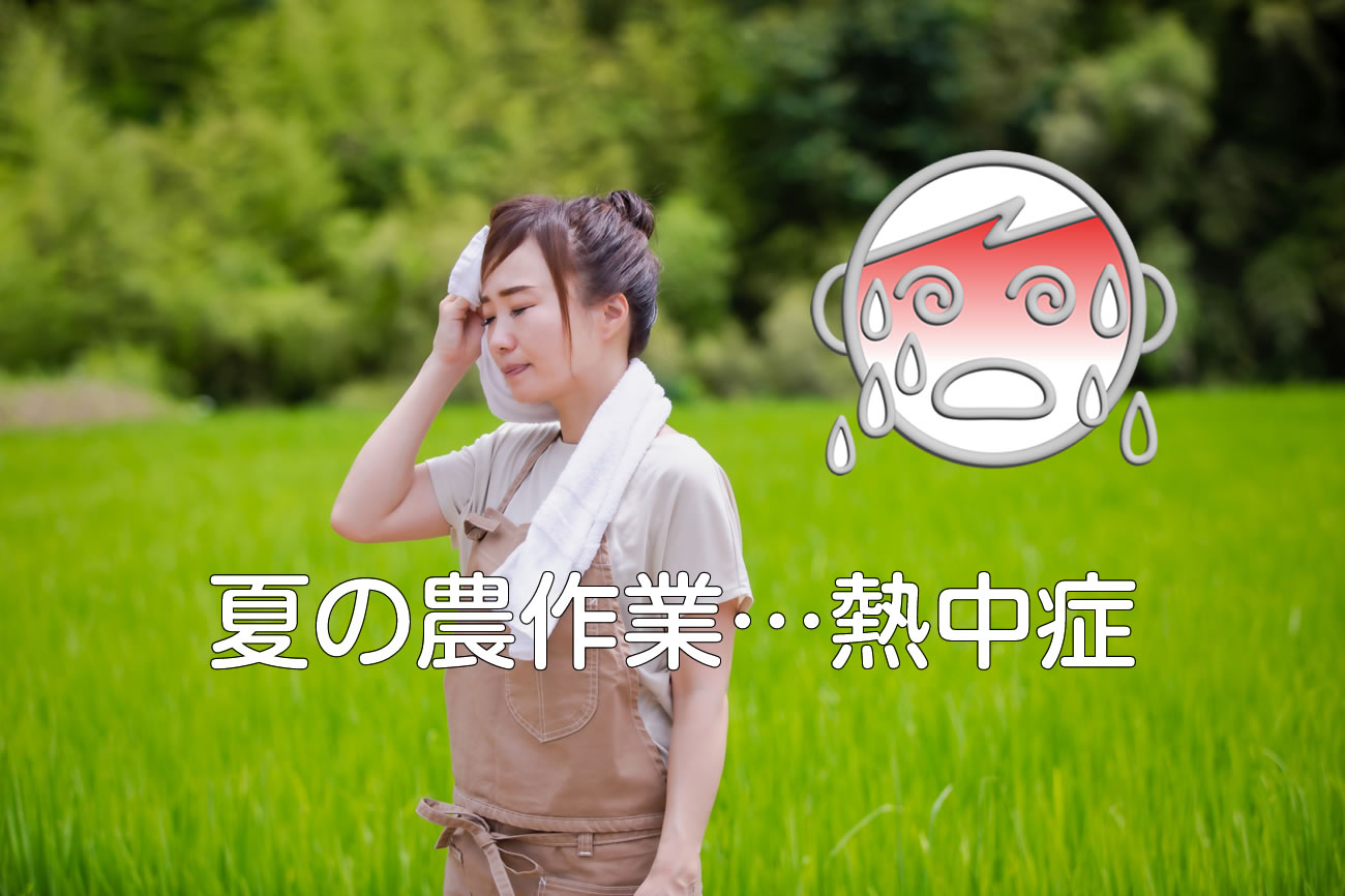 夏の農作業を快適に！熱中症対策の帽子選びに大切なポイントを紹介vol.045