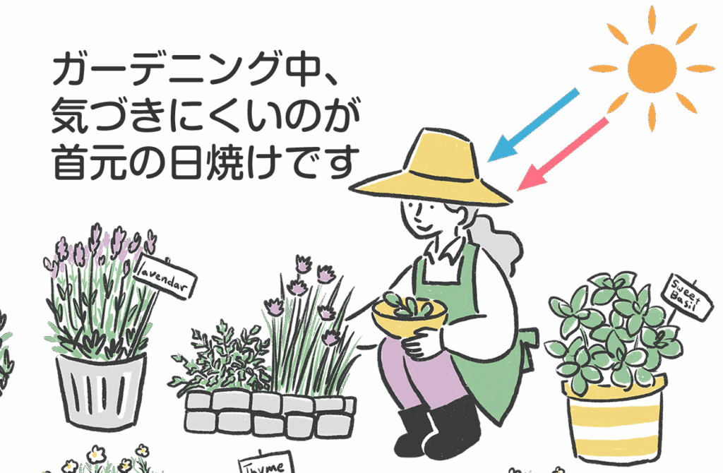 首元の皮膚は顔よりも薄く、紫外線ダメージを受けやすい特徴があります