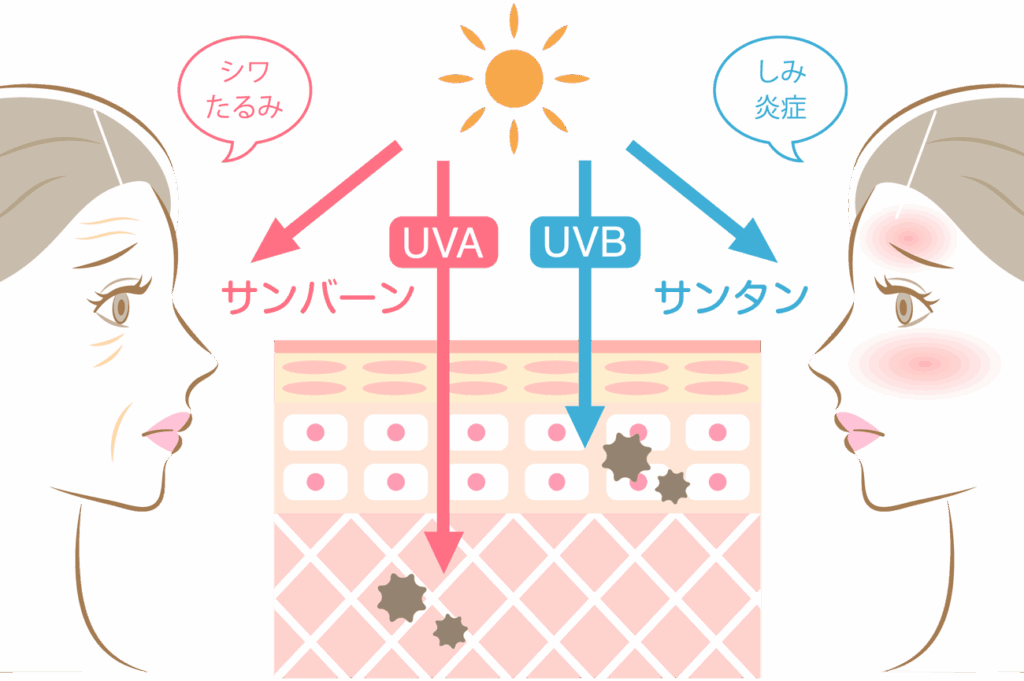 ガーデニング中は、直射日光だけでなく地面や水面からの反射光にも注意が必要