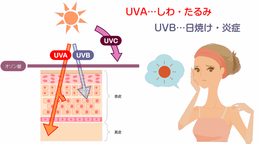 午前10時から午後2時頃までが最も紫外線量が多くなります