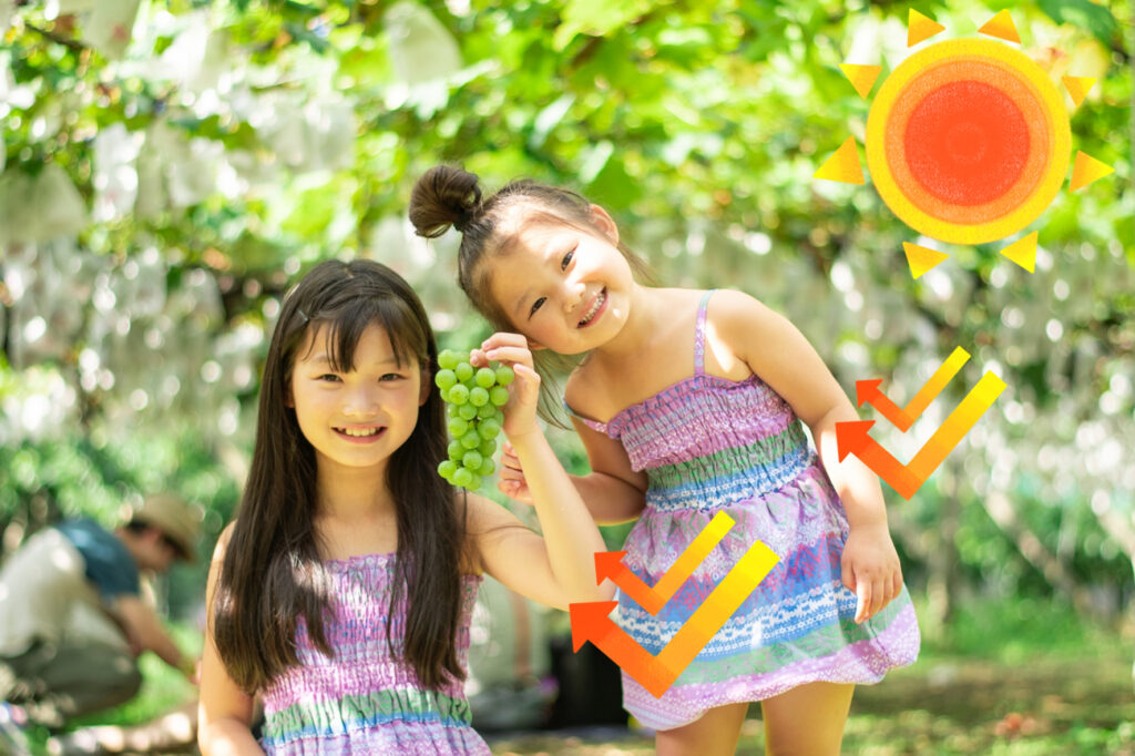 小さなお子さんを連れてぶどう狩りに行く場合は、大人以上に念入りな紫外線対策が必要