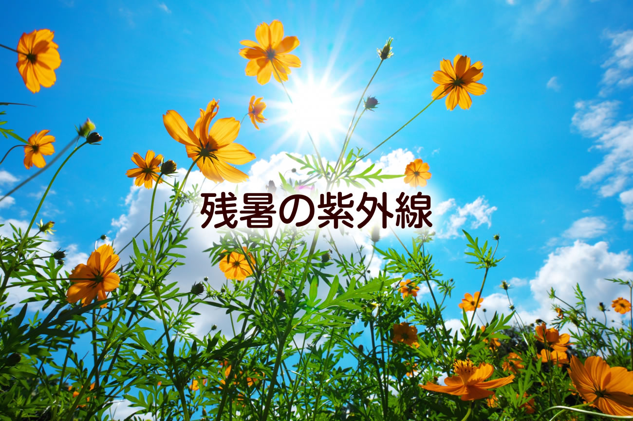 残暑でも油断大敵!紫外線&スキンケア対策アイテム完全ガイドvol.086