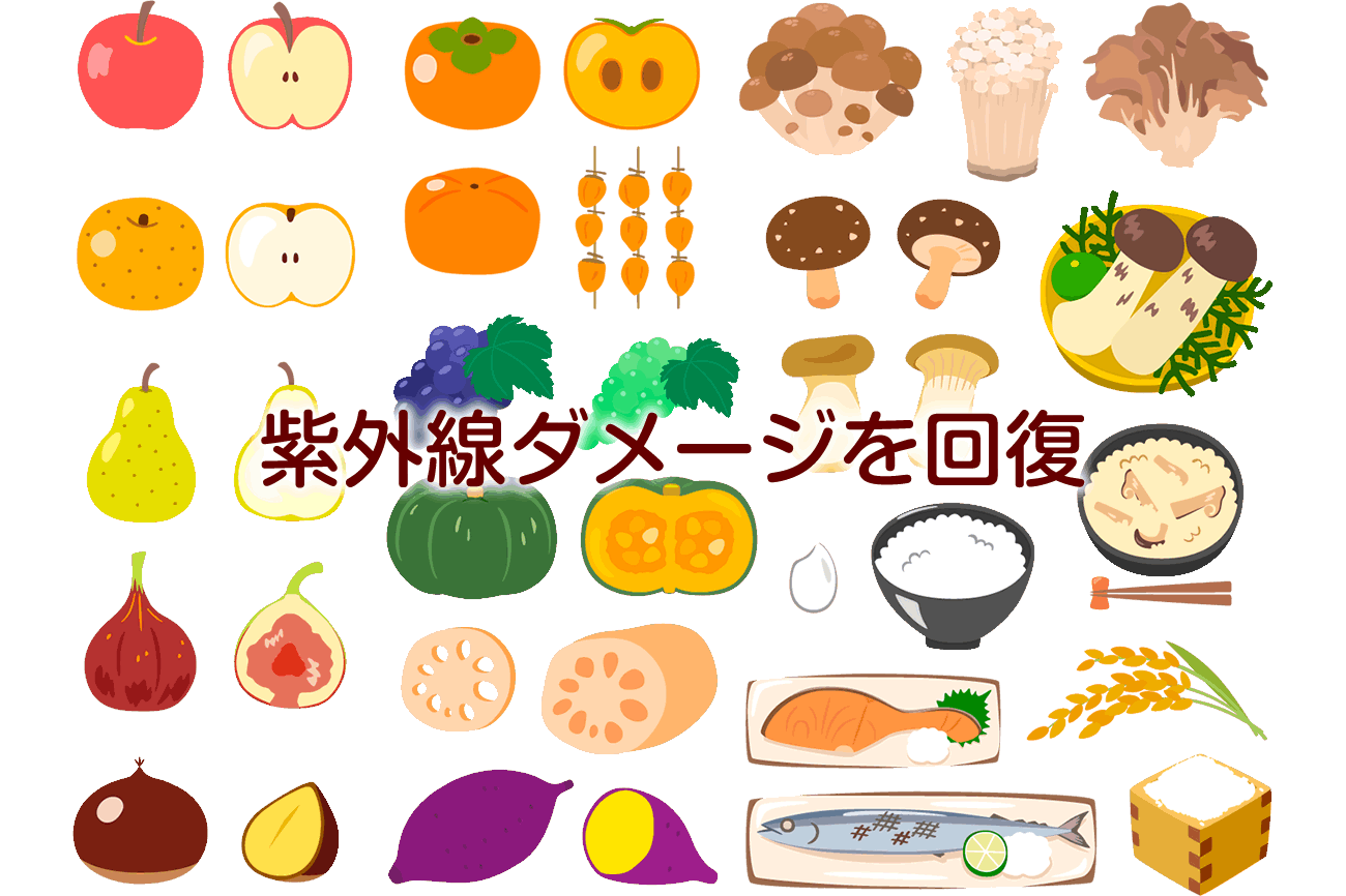 秋食材で美肌を守る！紫外線ダメージに効く栄養ガイドvol.092