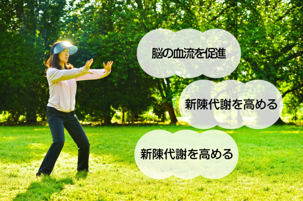 朝の太極拳がおすすめな3つの理由