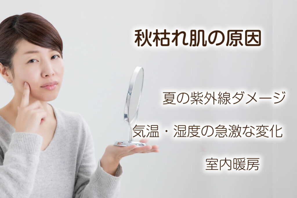 11月に起こる"秋枯れ肌"とは？