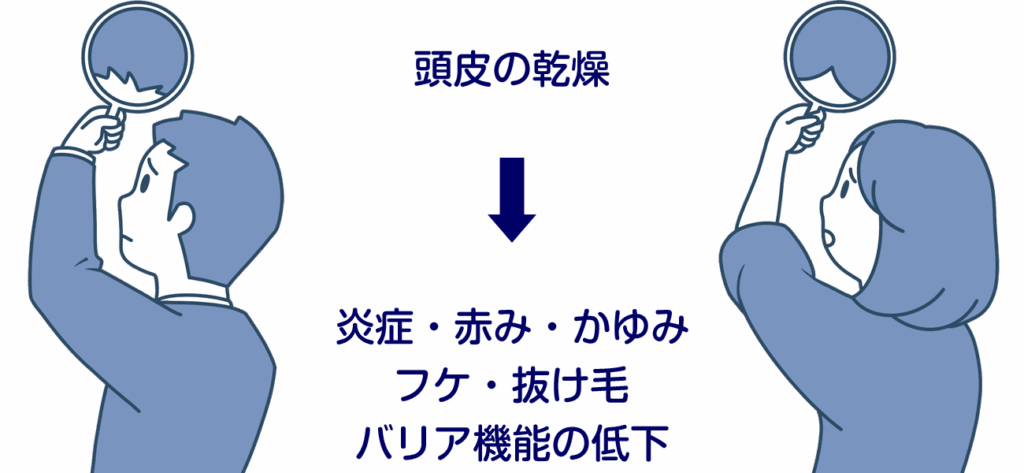 頭皮の乾燥がもたらす症状とは