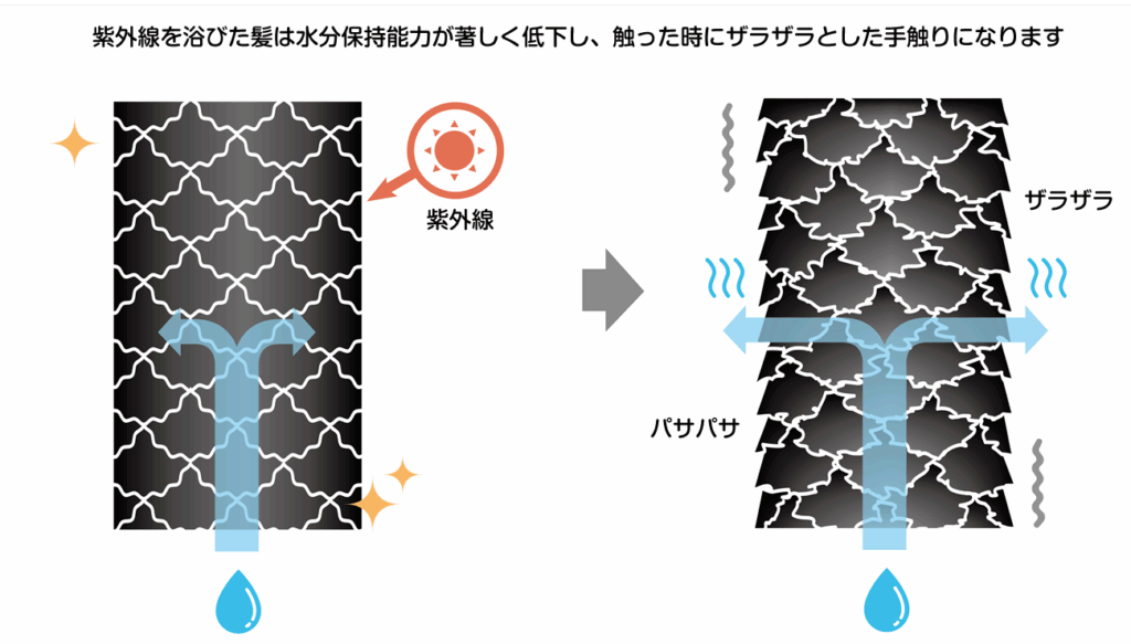 紫外線による髪ダメージの実態